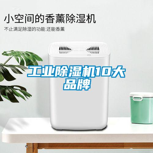 工業(yè)除濕機10大品牌