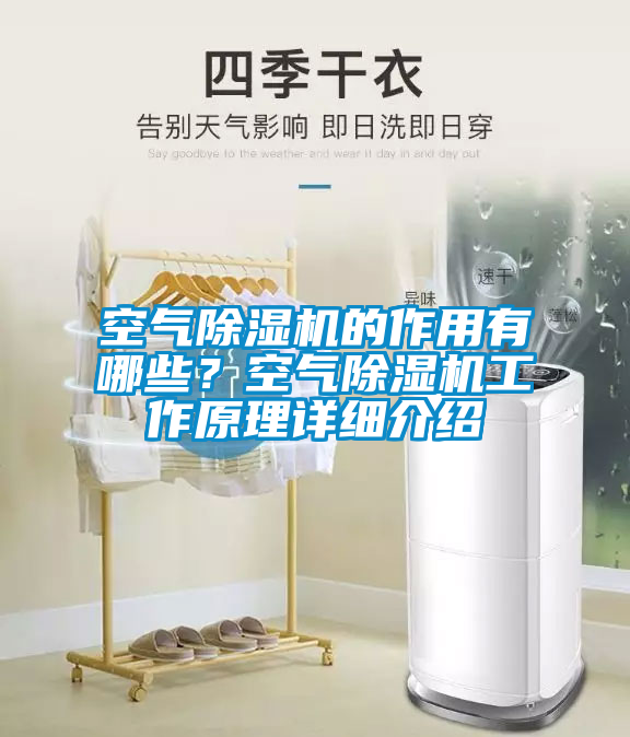 空氣除濕機的作用有哪些？空氣除濕機工作原理詳細介紹