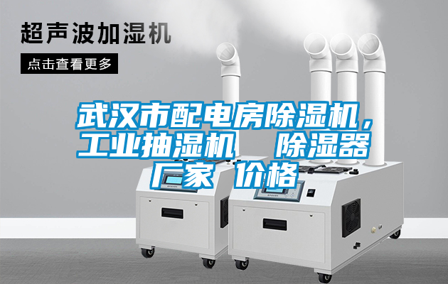 武漢市配電房除濕機(jī)，工業(yè)抽濕機(jī)  除濕器廠家 價格