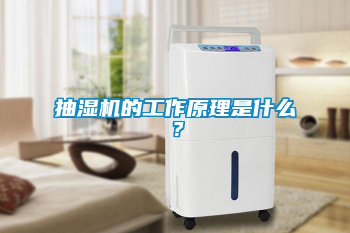 抽濕機(jī)的工作原理是什么？