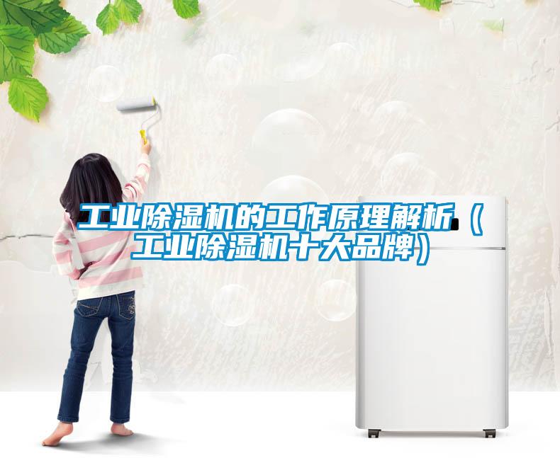 工業(yè)除濕機的工作原理解析（工業(yè)除濕機十大品牌）