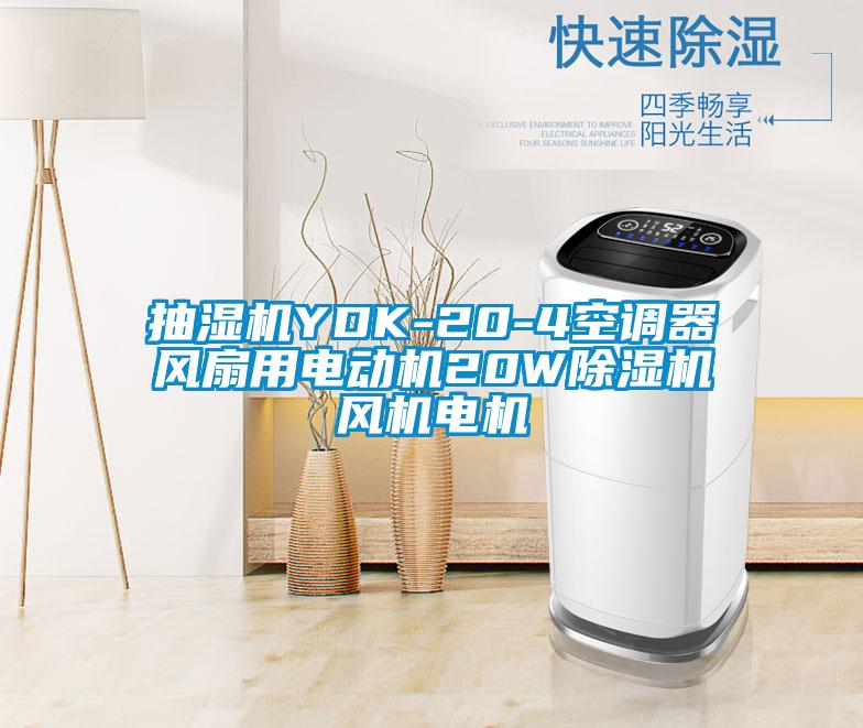 抽濕機(jī)YDK-20-4空調(diào)器風(fēng)扇用電動(dòng)機(jī)20W除濕機(jī)風(fēng)機(jī)電機(jī)