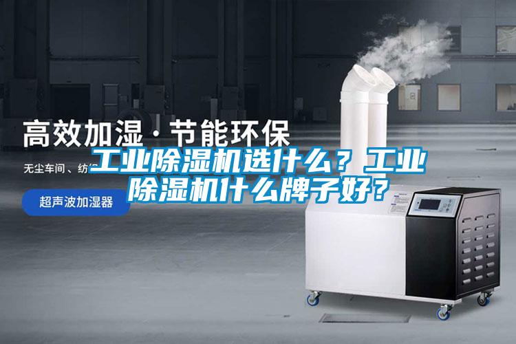 工業(yè)除濕機選什么？工業(yè)除濕機什么牌子好？