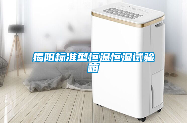揭陽標(biāo)準(zhǔn)型恒溫恒濕試驗(yàn)箱