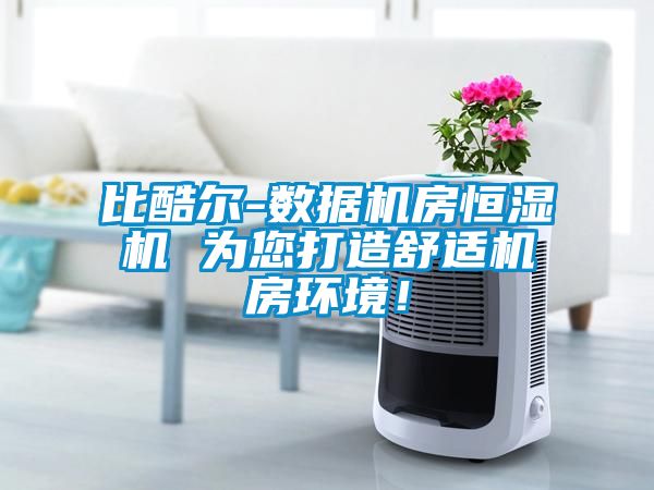 比酷爾-數(shù)據(jù)機(jī)房恒濕機(jī) 為您打造舒適機(jī)房環(huán)境！