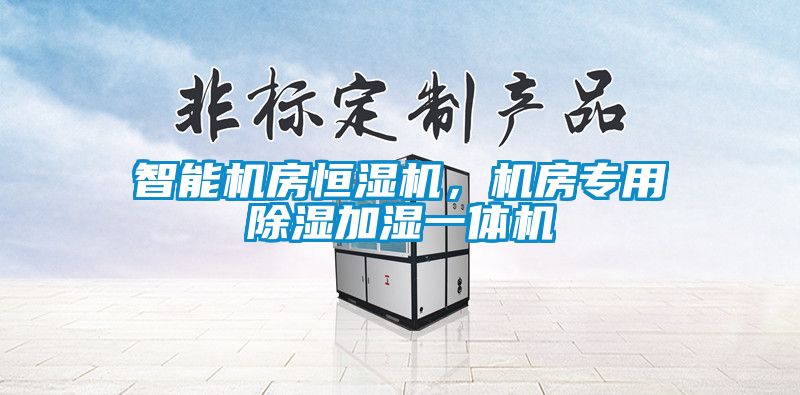 智能機(jī)房恒濕機(jī)，機(jī)房專用除濕加濕一體機(jī)
