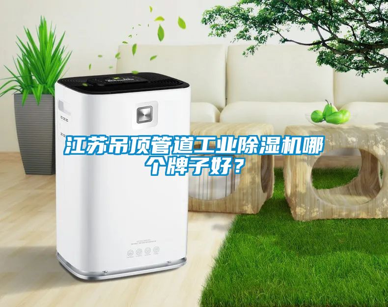 江蘇吊頂管道工業(yè)除濕機(jī)哪個(gè)牌子好？
