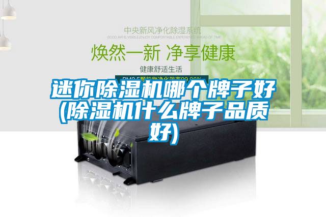 迷你除濕機(jī)哪個(gè)牌子好(除濕機(jī)什么牌子品質(zhì)好)