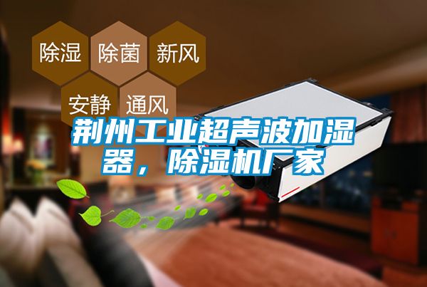 荊州工業(yè)超聲波加濕器，除濕機(jī)廠家