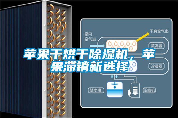 蘋果干烘干除濕機(jī)，蘋果滯銷新選擇