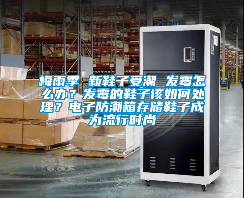 梅雨季 新鞋子受潮 發(fā)霉怎么辦？發(fā)霉的鞋子該如何處理？電子防潮箱存儲鞋子成為流行時尚