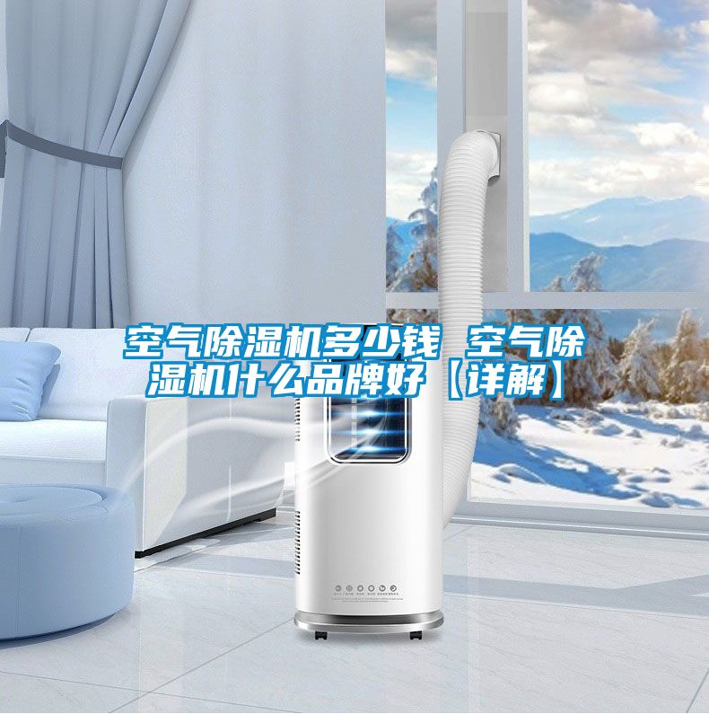 空氣除濕機多少錢 空氣除濕機什么品牌好【詳解】