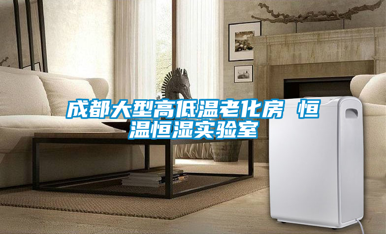 成都大型高低溫老化房 恒溫恒濕實(shí)驗(yàn)室