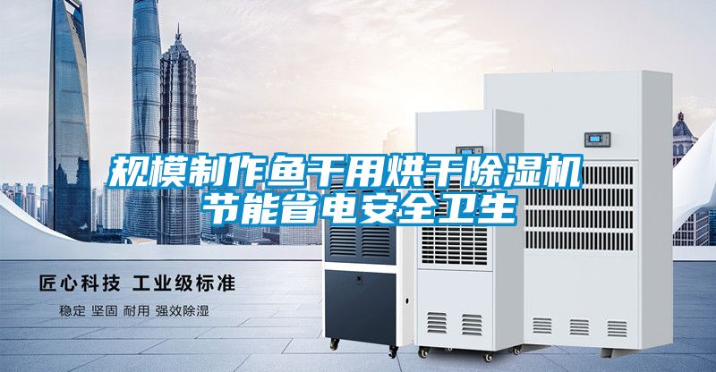規(guī)模制作魚干用烘干除濕機 節(jié)能省電安全衛(wèi)生