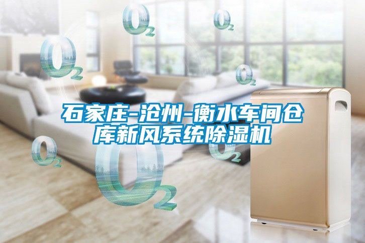 石家莊-滄州-衡水車間倉庫新風系統(tǒng)除濕機