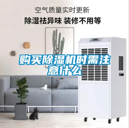 購買除濕機(jī)時需注意什么