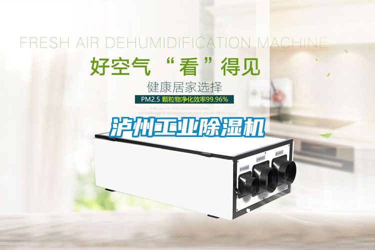 瀘州工業(yè)除濕機(jī)