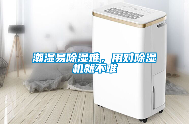 潮濕易除濕難，用對除濕機就不難