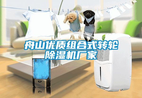 舟山優(yōu)質(zhì)組合式轉(zhuǎn)輪除濕機廠家