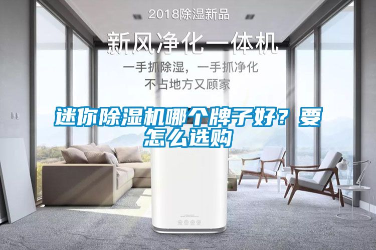 迷你除濕機(jī)哪個(gè)牌子好？要怎么選購