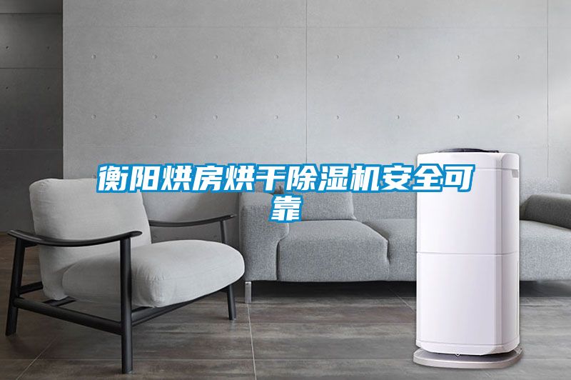 衡陽烘房烘干除濕機安全可靠