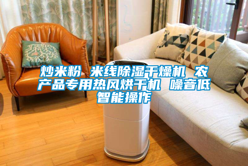 炒米粉 米線除濕干燥機(jī) 農(nóng)產(chǎn)品專(zhuān)用熱風(fēng)烘干機(jī) 噪音低智能操作