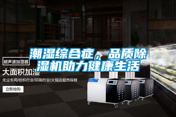 潮濕綜合癥，品質(zhì)除濕機(jī)助力健康生活
