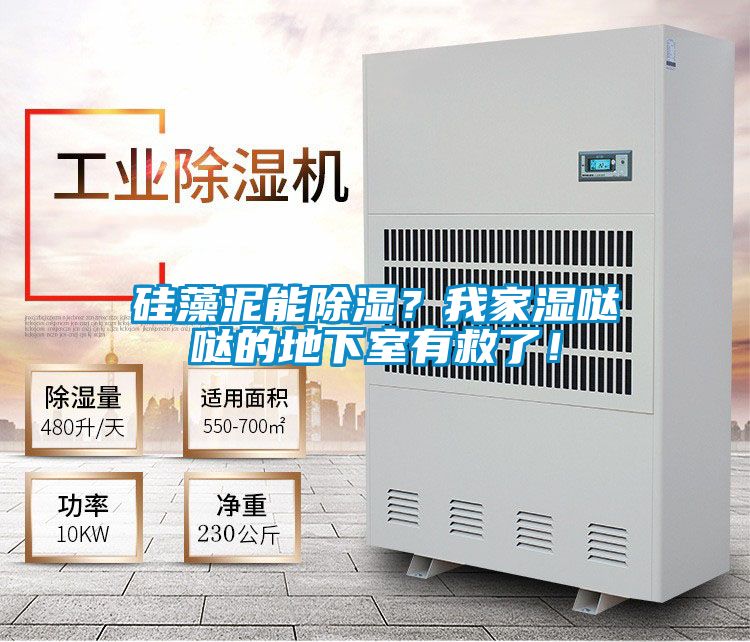 硅藻泥能除濕？我家濕噠噠的地下室有救了！