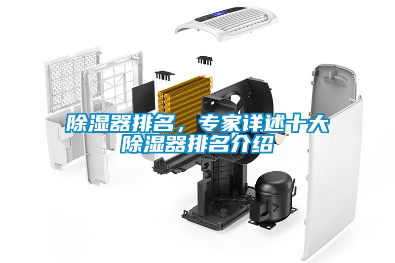除濕器排名，專家詳述十大除濕器排名介紹