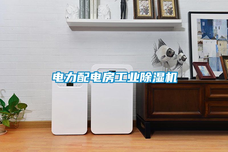 電力配電房工業(yè)除濕機(jī)