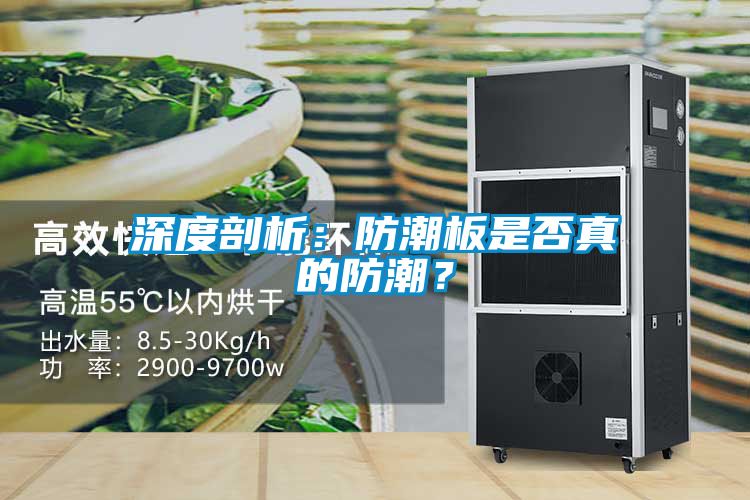 深度剖析：防潮板是否真的防潮？
