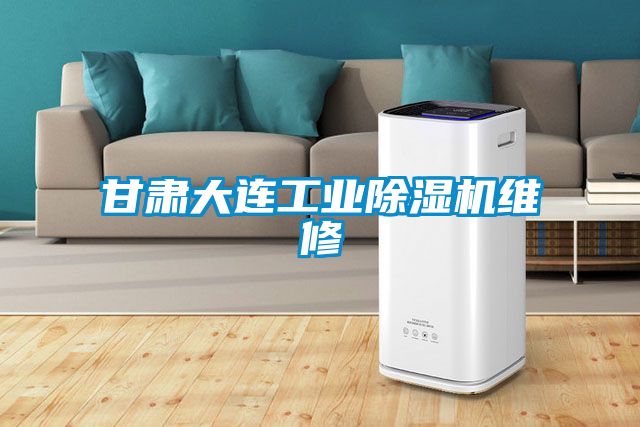 甘肅大連工業(yè)除濕機維修
