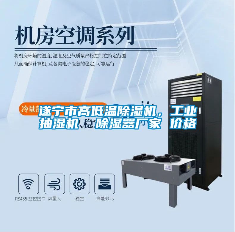 遂寧市高低溫除濕機(jī)，工業(yè)抽濕機(jī)  除濕器廠家 價格