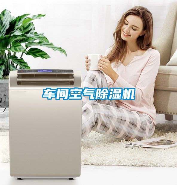 車(chē)間空氣除濕機(jī)