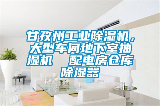 甘孜州工業(yè)除濕機，大型車間地下室抽濕機  配電房倉庫除濕器