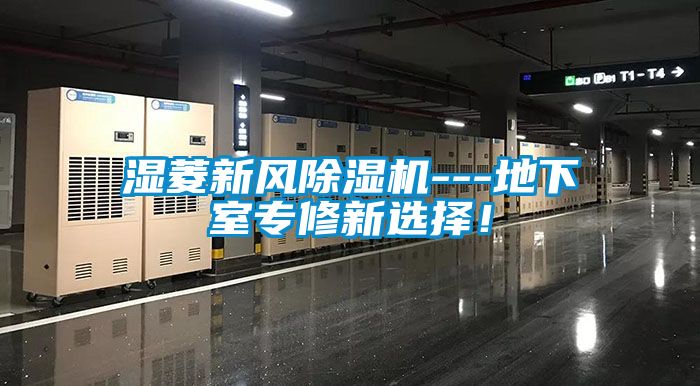 濕菱新風除濕機---地下室專修新選擇！