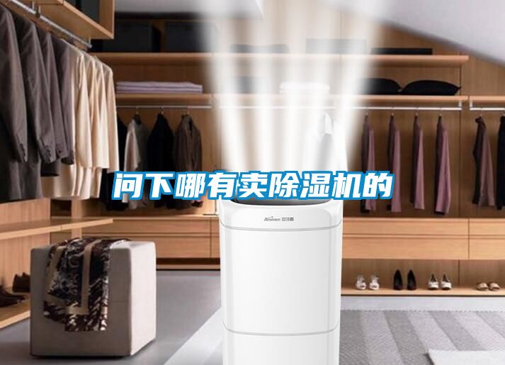 問下哪有賣除濕機(jī)的
