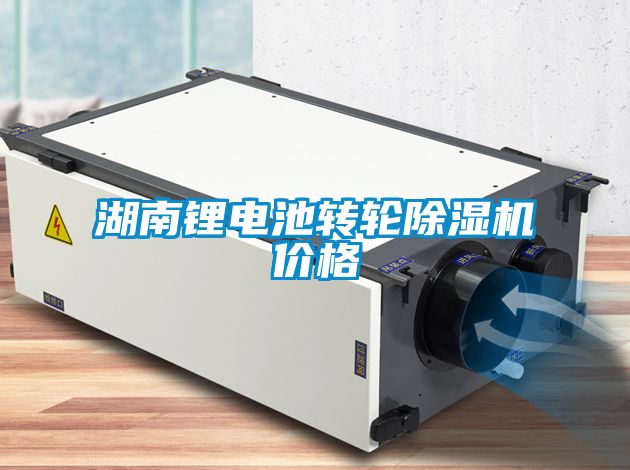 湖南鋰電池轉(zhuǎn)輪除濕機價格