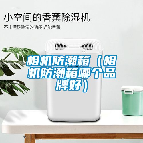 相機(jī)防潮箱（相機(jī)防潮箱哪個品牌好）