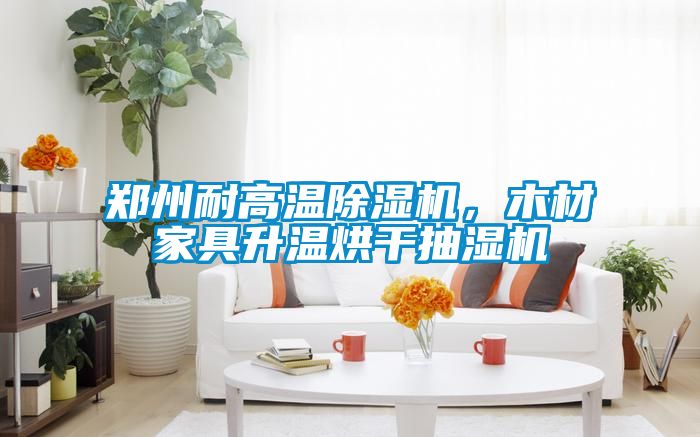 鄭州耐高溫除濕機，木材家具升溫烘干抽濕機