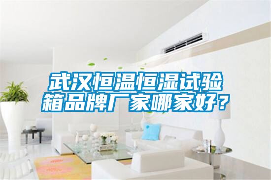 武漢恒溫恒濕試驗箱品牌廠家哪家好？