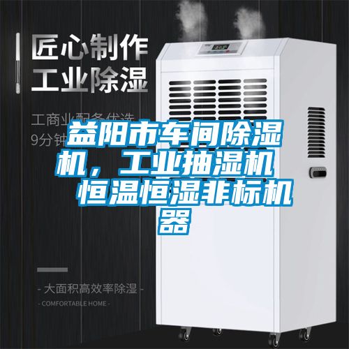 益陽市車間除濕機，工業(yè)抽濕機  恒溫恒濕非標機器