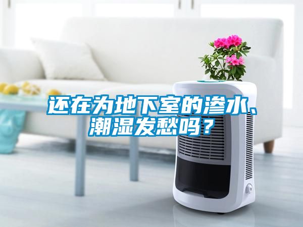 還在為地下室的滲水、潮濕發(fā)愁嗎？