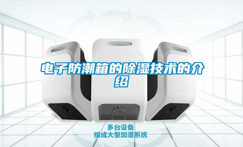 電子防潮箱的除濕技術(shù)的介紹