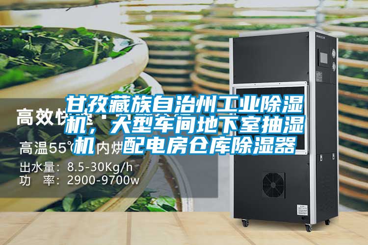 甘孜藏族自治州工業(yè)除濕機(jī)，大型車間地下室抽濕機(jī)  配電房倉庫除濕器