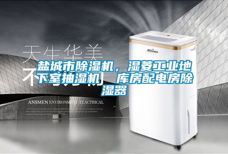 鹽城市除濕機(jī)，濕菱工業(yè)地下室抽濕機(jī)  庫房配電房除濕器