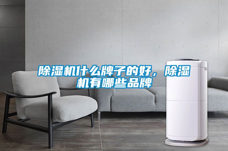 除濕機什么牌子的好，除濕機有哪些品牌