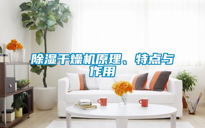 除濕干燥機(jī)原理、特點(diǎn)與作用