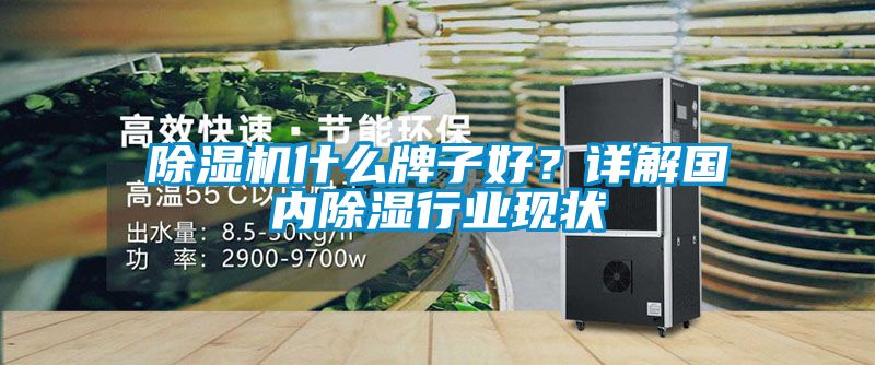 除濕機什么牌子好？詳解國內(nèi)除濕行業(yè)現(xiàn)狀