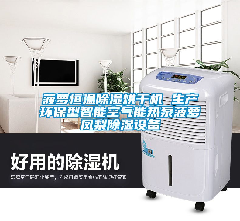 菠蘿恒溫除濕烘干機 生產(chǎn)環(huán)保型智能空氣能熱泵菠蘿鳳梨除濕設(shè)備